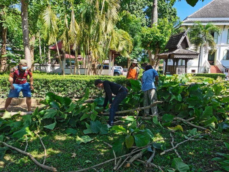 ปรับแต่งภูมิทัศน์บริเวณคุ้มเจ้าหลวง จังหวัดแพร่