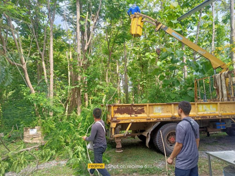 ดำเนินการตัดต้นไม้บริเวณสำนักงานทรัพยากรธรรมชาติและสิ่งแวดล้อมจังหวัดแพร่ ตำบลป่าแมต อำเภอเมือง จังหวัดแพร่